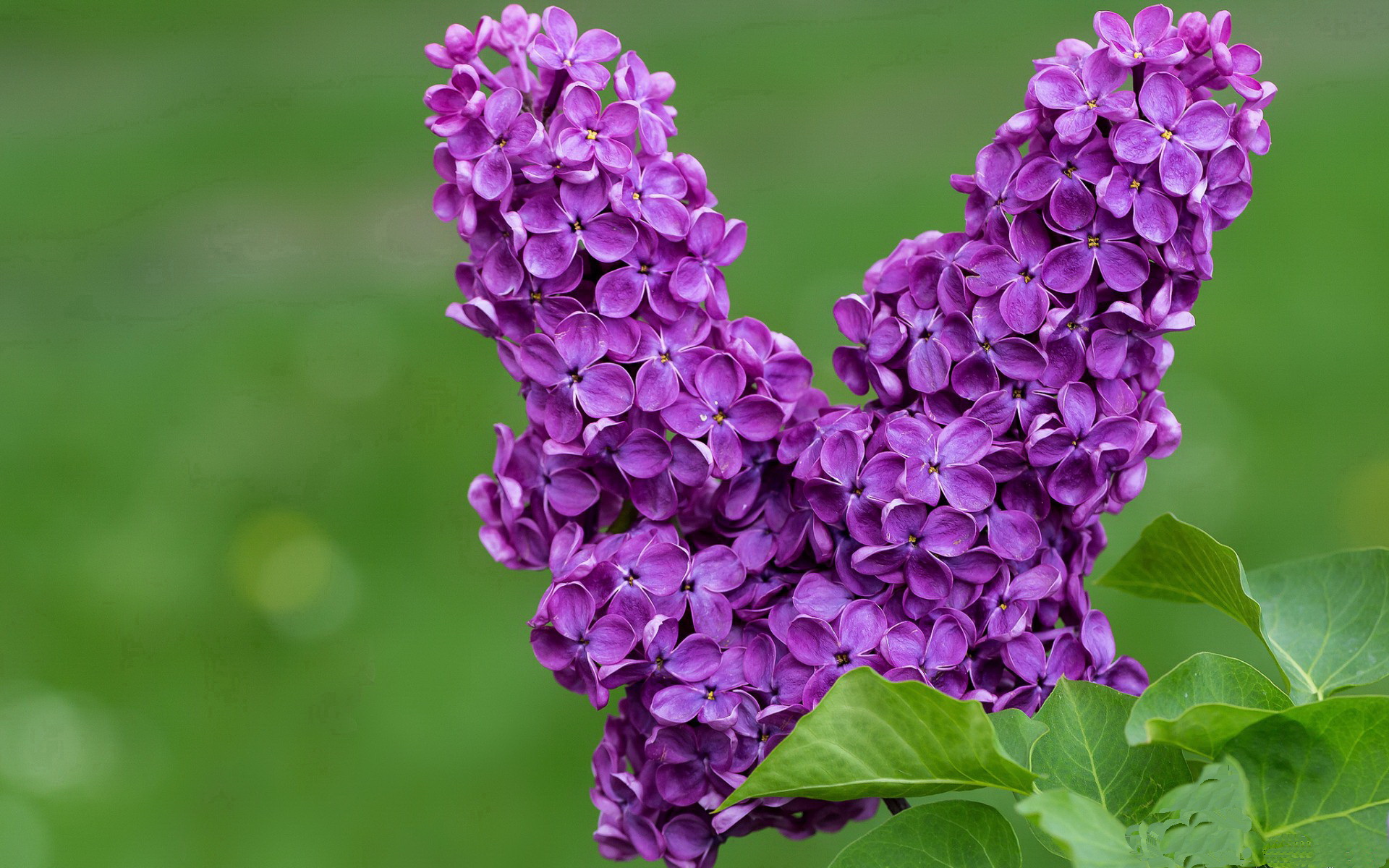 平行宇宙的绝杀，当火箭熄灭老鹰，欧冠巨星同步启动接管程序