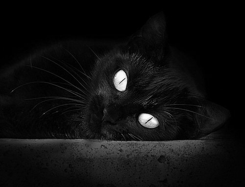 布伦森独舞纽约，山西队绝地逆袭—篮球场上的掌控与奇迹