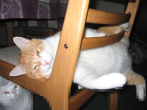 掌心纹路收割胜负，坎特的掌控与贝蒂斯的致命一击