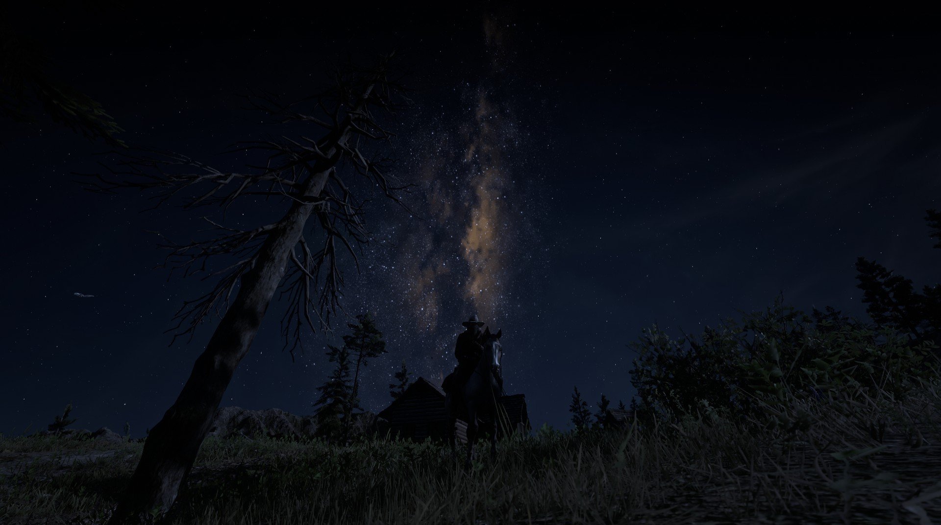 灼日压境,太阳以光压战术让熊罴哀嚎于总决赛战场