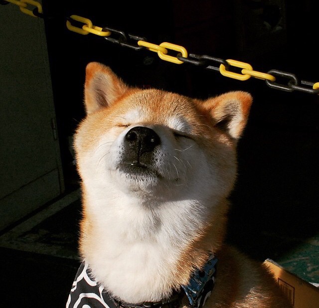 沙尘暴中唯一的清醒者,阿克风暴夜锁定胜局,曼城用冠军姿态带走沙特