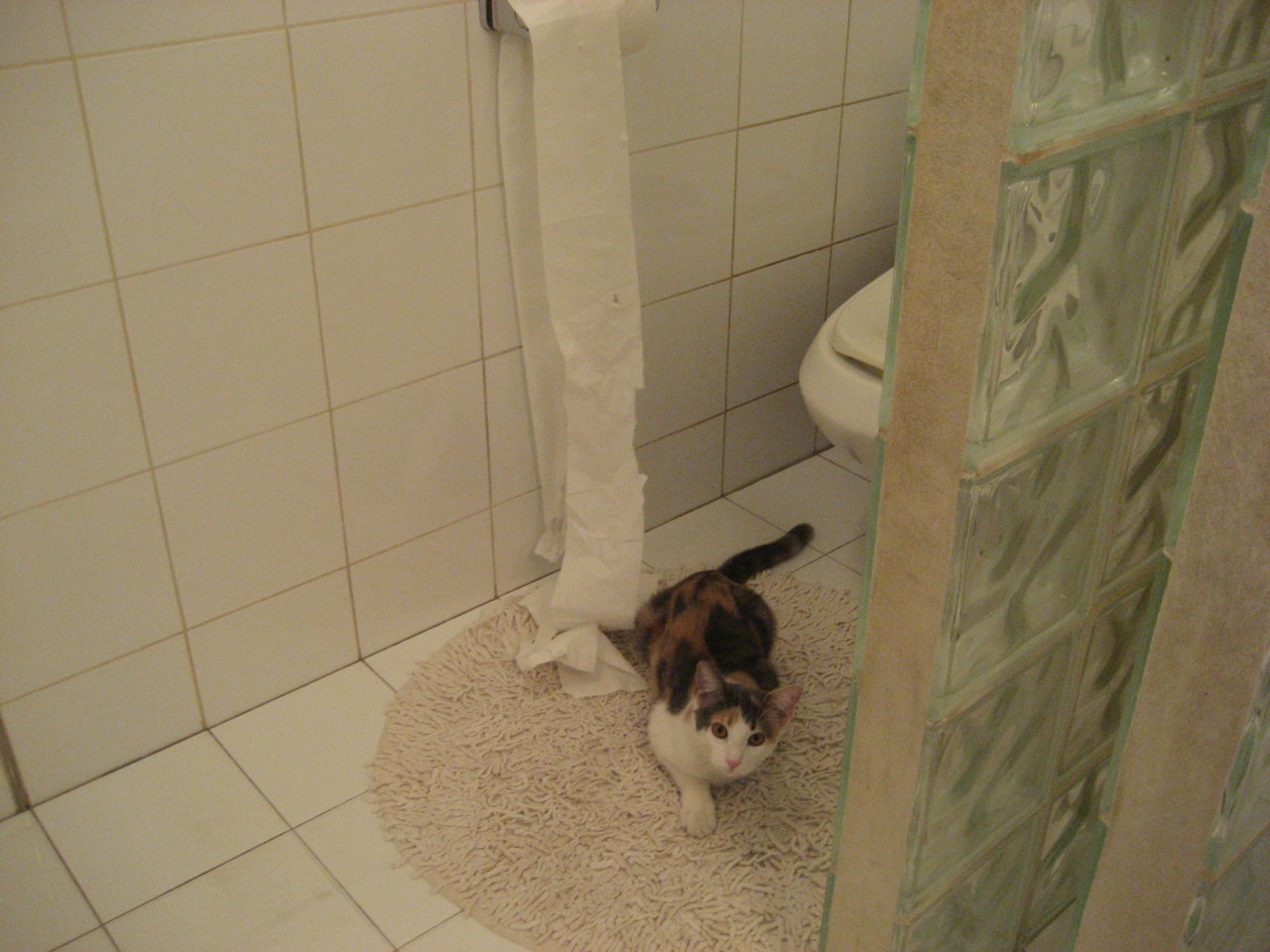 教科书式定义，阿尔瓦雷斯如何用一场虚构的胜利诠释现代中锋