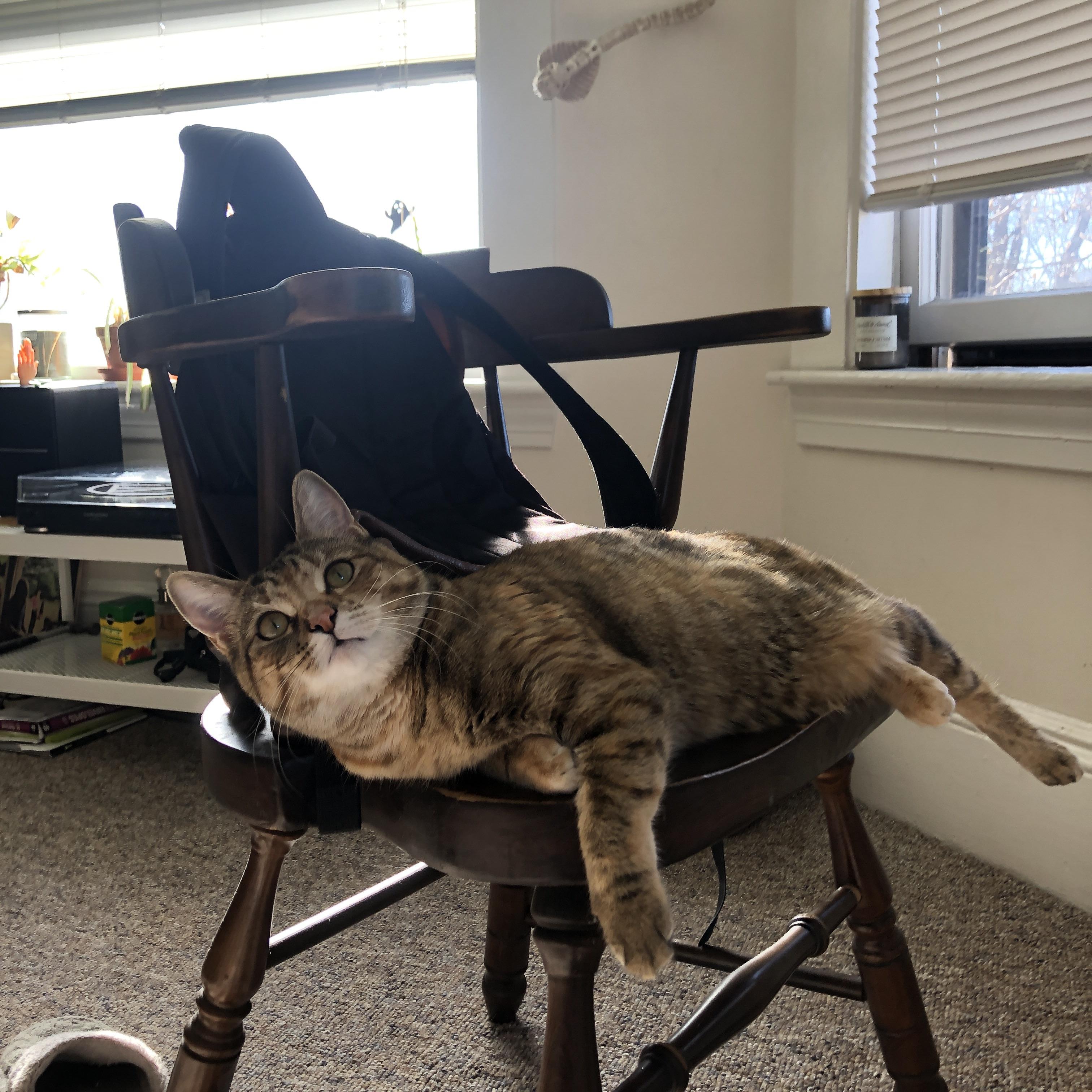 跨联盟巅峰对决，莫兰特攻防两端统治全场，广厦队憾负马刺展现韧性