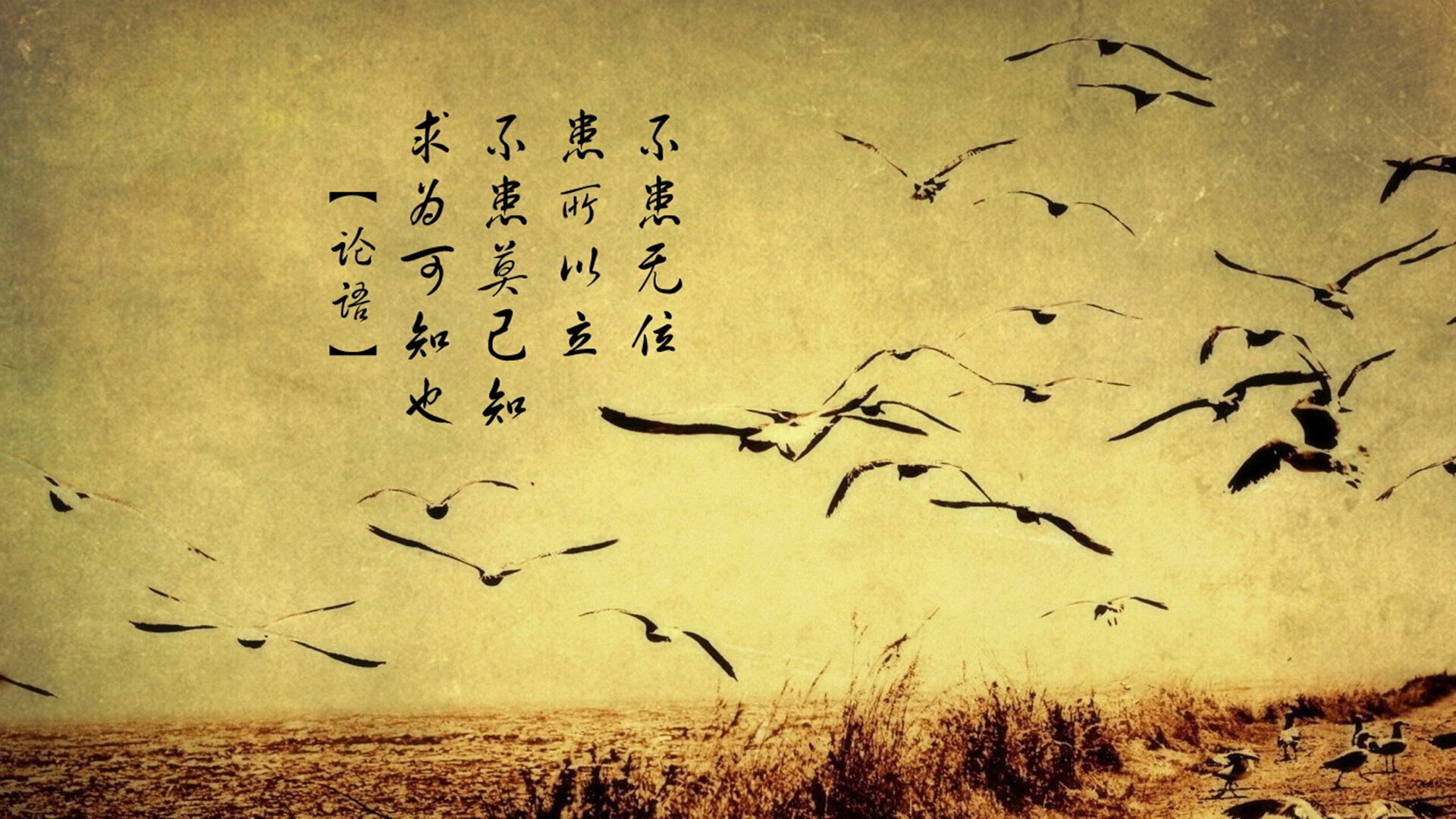 金玟哉让比赛提前失去悬念，巴西封锁比利时，防守决胜的现代足球