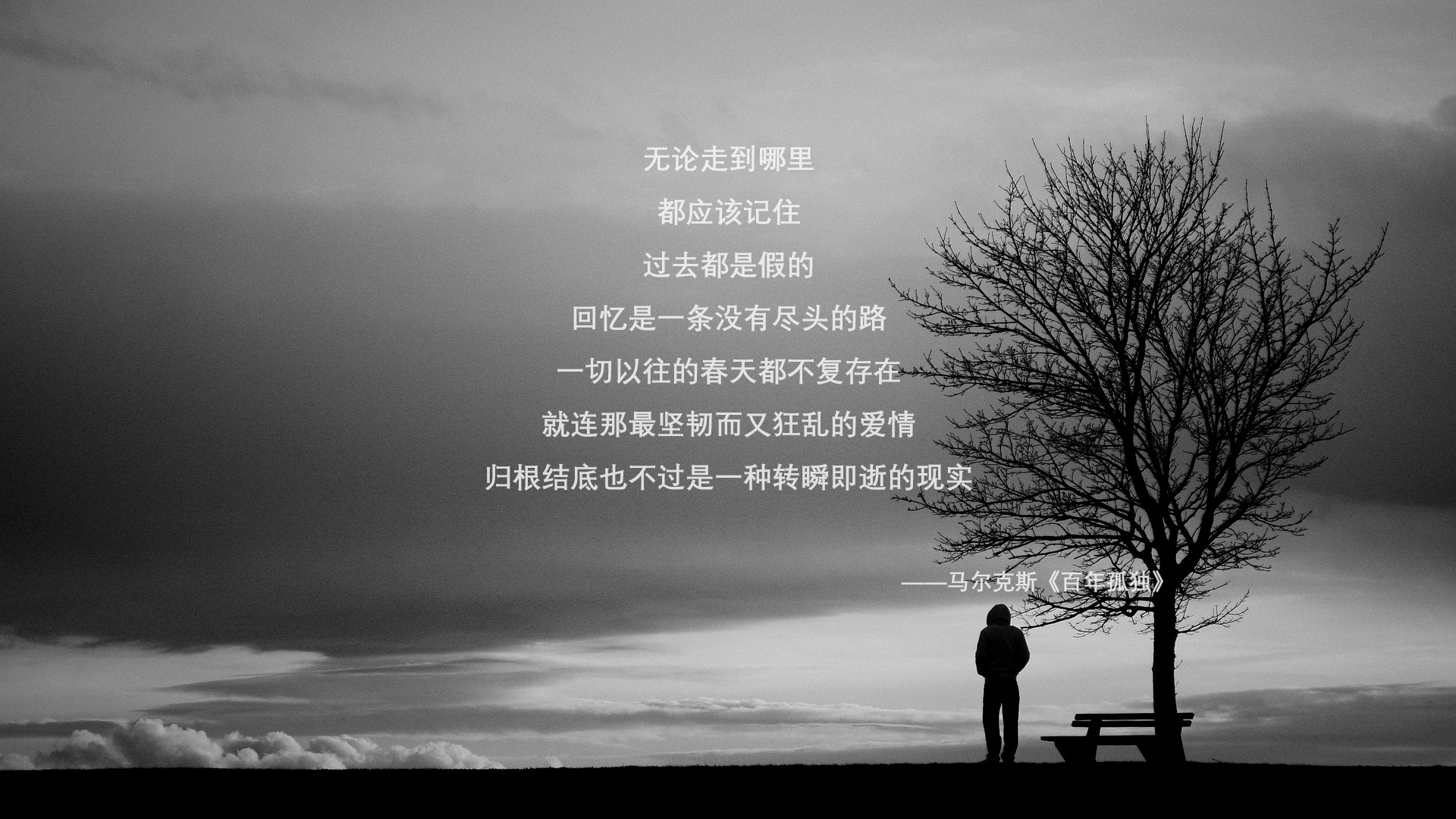 血与火的绿茵,2026世界杯H组,美国险胜伊朗,托纳利一剑封喉